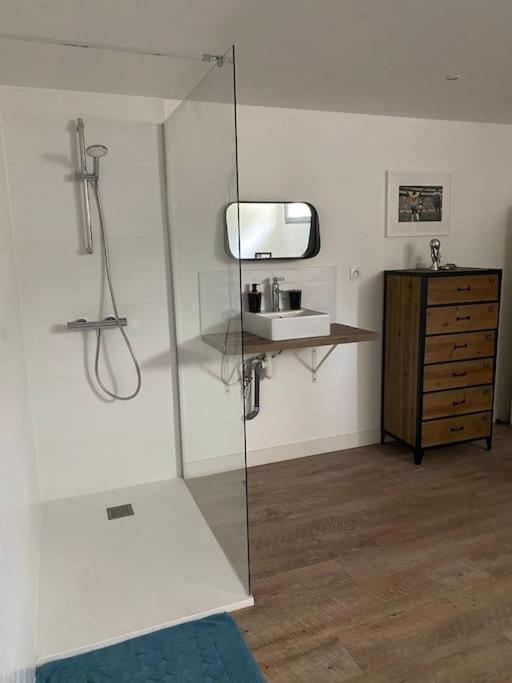 Loft Proche Centre Ville Hotes Habitant A L Etage Laval  Kültér fotó
